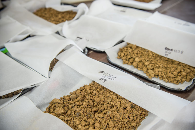 les échantillons de sol sèchent dans le laboratoire à Rodale Institute